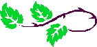 LEAF1a.wmf (30022 bytes)